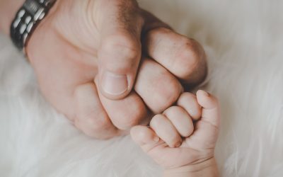 Tenemos algo nuevo para ti… Abogados Penalistas.