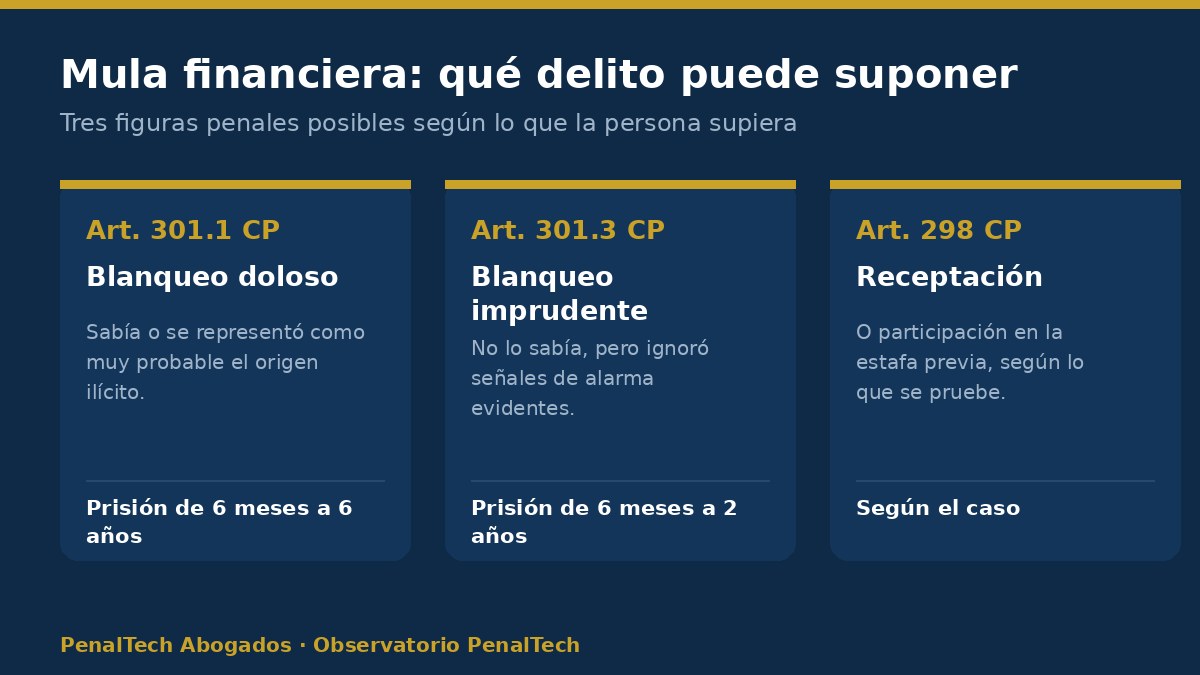 delitos de la mula financiera: blanqueo doloso, imprudente y receptación